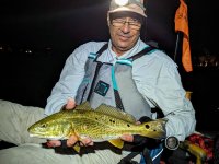 Redfish in the Night